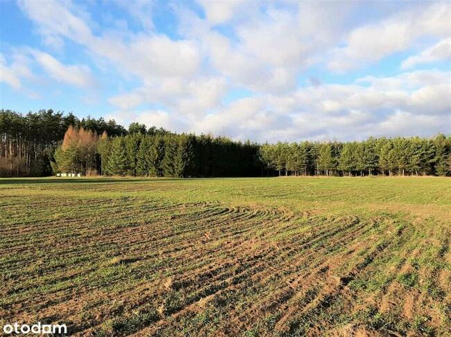 Działki pod zabudowę jednorodzinną w Reglu!