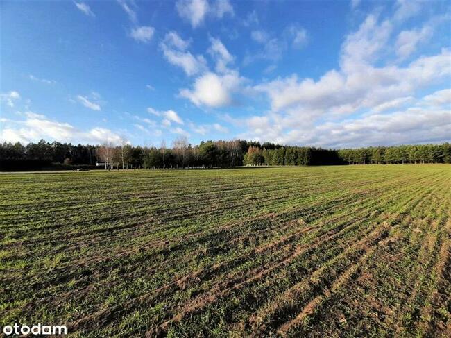 Działki pod zabudowę jednorodzinną w Reglu!