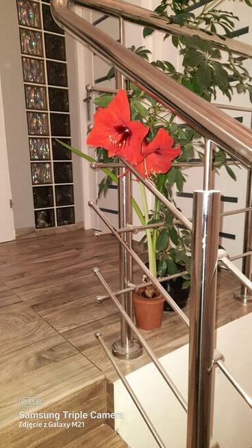 Niezależny, samodzielny pokój w centrum Suwałk