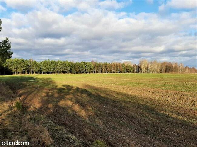 Działki pod zabudowę jednorodzinną w Reglu!