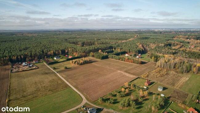 Działki pod zabudowę jednorodzinną w Reglu!