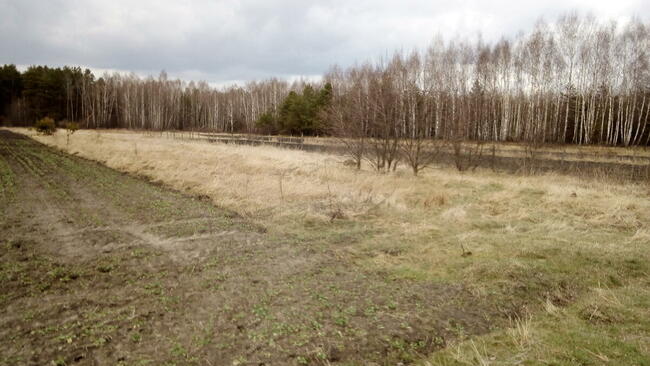 DZIAŁKA ROLNA, INWESTYCYJNA. CZEREMCHA-WIEŚ.