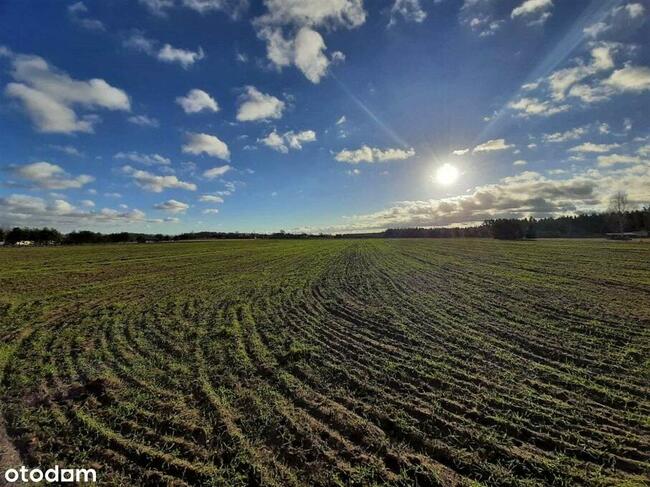 Działki pod zabudowę jednorodzinną w Reglu!