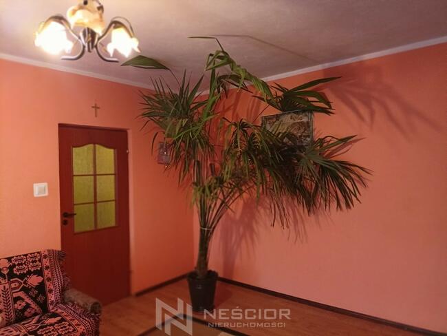 Malowniczy dom na wsi z dużą działką wśród zieleni