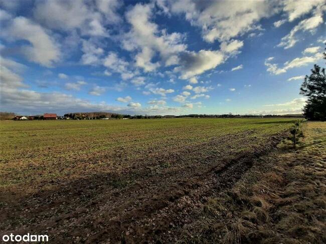 Działki pod zabudowę jednorodzinną w Reglu!