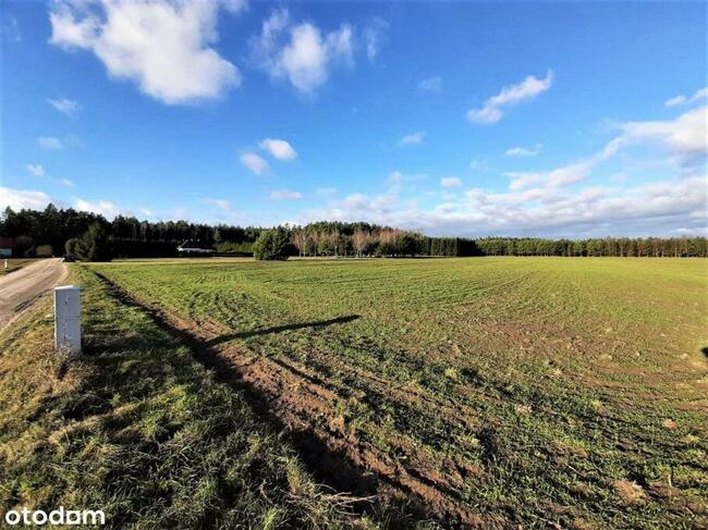 Działki pod zabudowę jednorodzinną w Reglu!