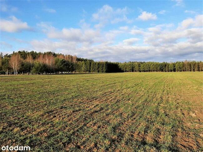 Działki pod zabudowę jednorodzinną w Reglu!