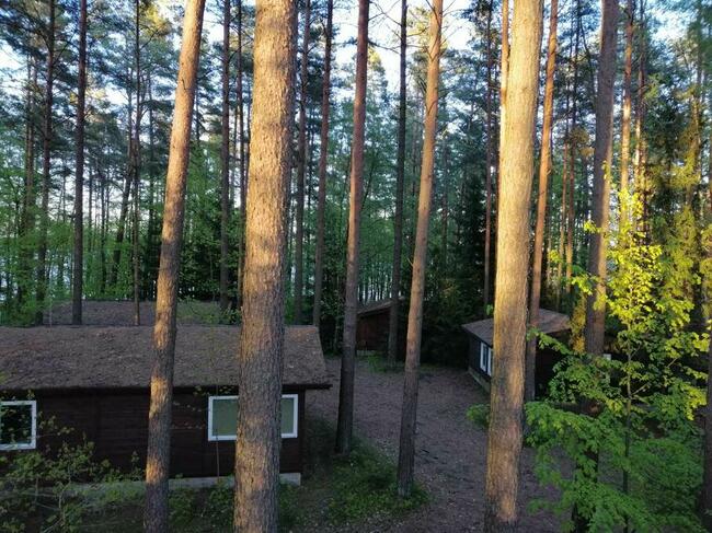 Domek Sandacz nad jeziorem Sasek Wielki, Mazury, nocleg