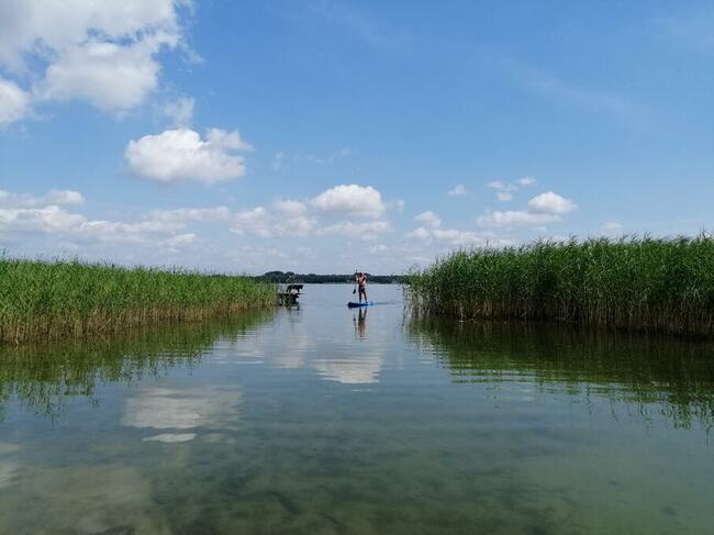 Domek Borsuk w lesie nad jeziorem Sasek Wielki Nocleg Mazury