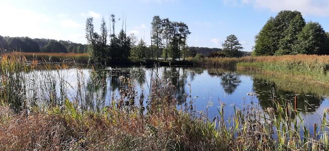 urokliwe siedlisko - działki od 3000m2 do 25,6 ha