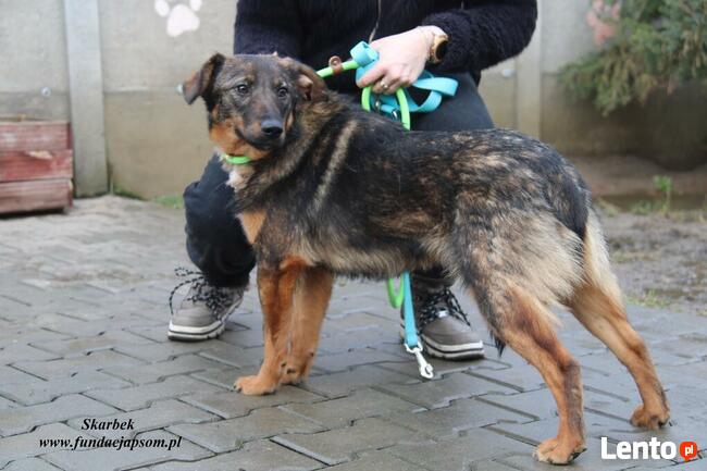 Skarbek - uroczy brzdąc