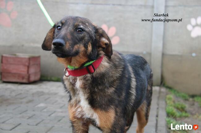 Skarbek - uroczy brzdąc