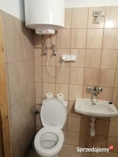 Domek Borsuk w lesie nad jeziorem Sasek Wielki Nocleg Mazury