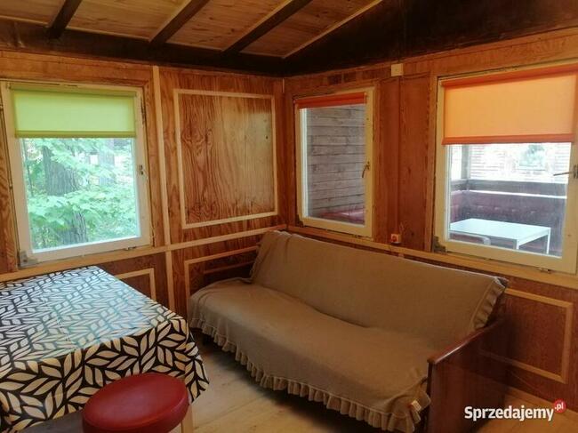 Domek Borsuk w lesie nad jeziorem Sasek Wielki Nocleg Mazury