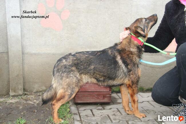 Skarbek - uroczy brzdąc