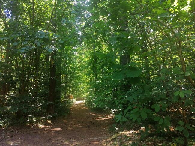 Domek Okoń nad jeziorem Sasek Wielki koło Szczytna mazury
