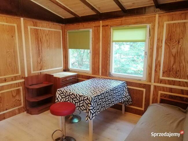 Domek Borsuk w lesie nad jeziorem Sasek Wielki Nocleg Mazury