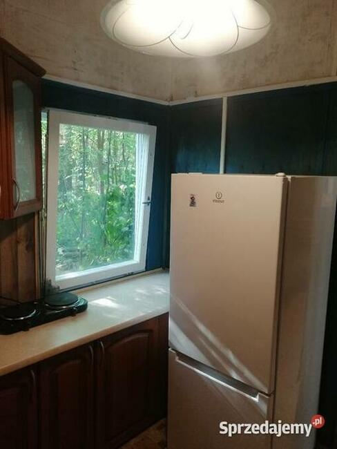 Domek Borsuk w lesie nad jeziorem Sasek Wielki Nocleg Mazury