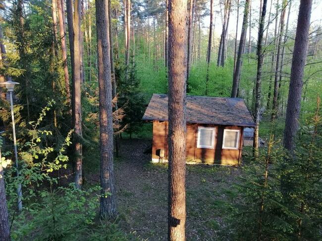 Domek Okoń nad jeziorem Sasek Wielki koło Szczytna mazury