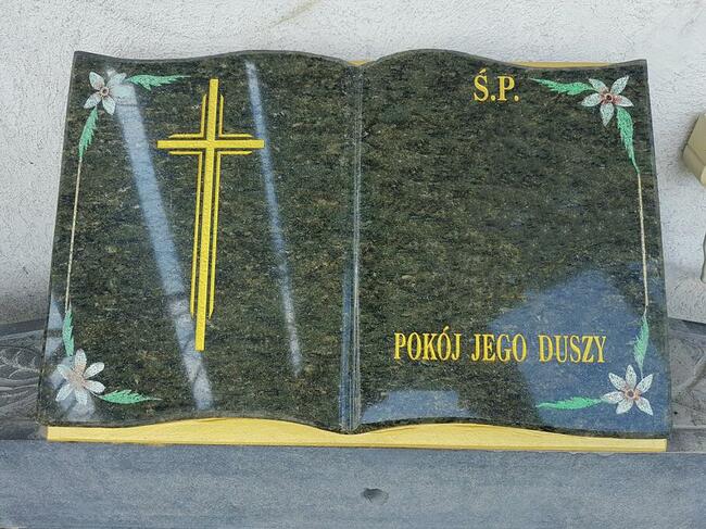 Olive green, książka granitowa, nr.1842
