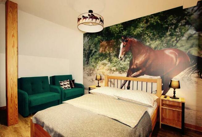 Agroturystyka Końska Górka