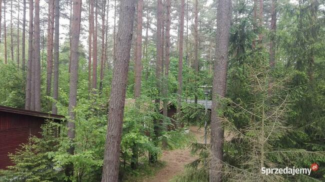 Domek Sarenka na Mazurach nad jeziorem Sasek Wielki nocleg