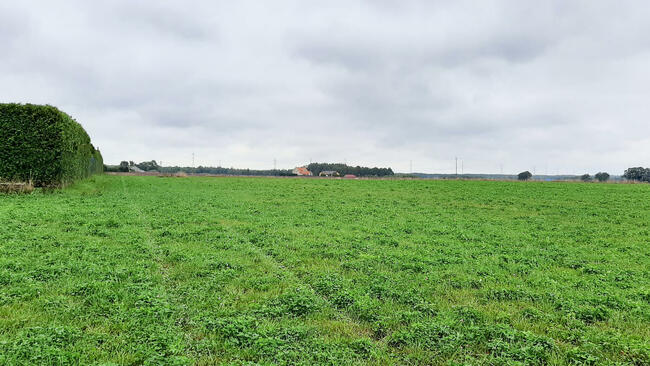 Działka budowlano-usługowa _ blisko wjazd na Obwodnicę!!