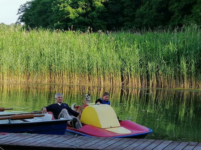 Domek Jagoda Mazury nad jeziorem Sasek Wielki nocleg pokój