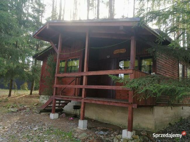 Domek Poziomka nad jezioremSasek Wielki nocleg mazury pokój