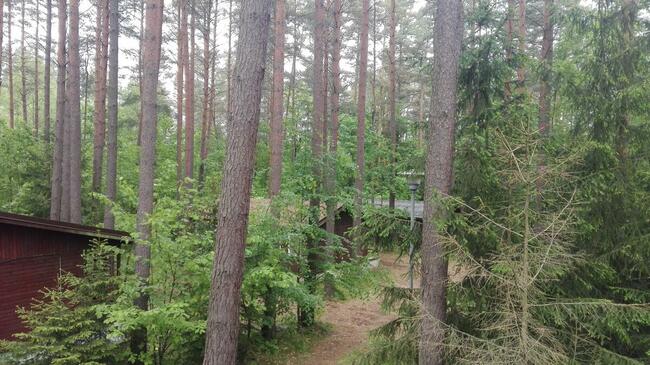 Domek Malinka nad jeziorem Sasek Wielki nocleg mazury