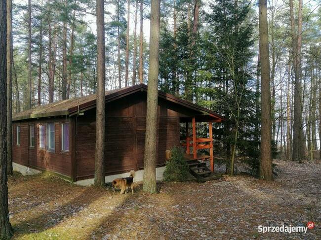 Domek Jagoda Mazury nad jeziorem Sasek Wielki nocleg pokój