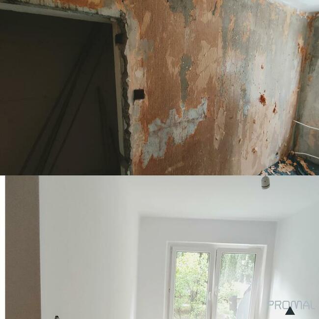 PROMAL Prace wysokościowe, mycie, malowanie dachów i elewacji