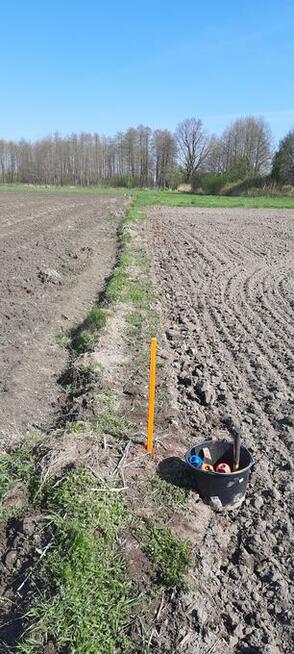 Geodeta, usługi geodezyjne