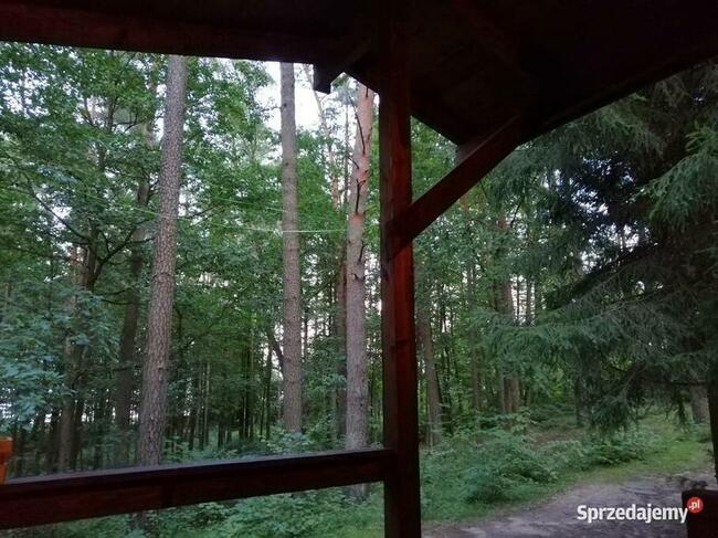 Domek Poziomka nad jezioremSasek Wielki nocleg mazury pokój
