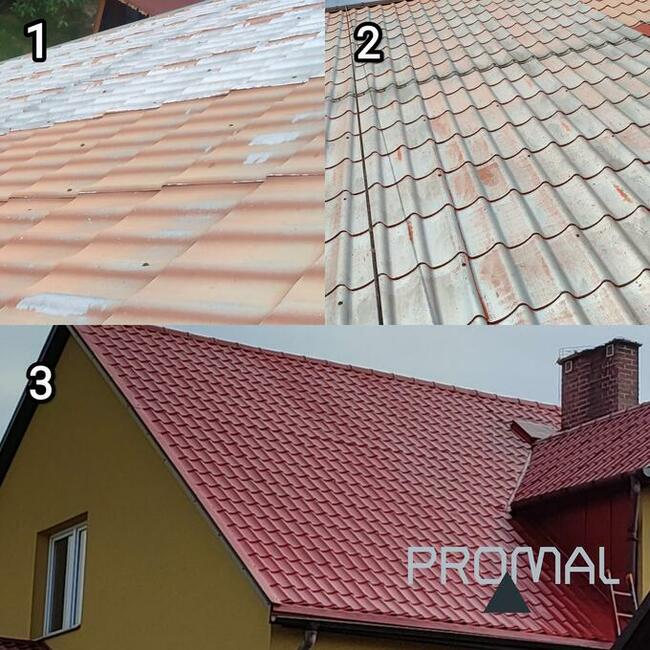 PROMAL Prace wysokościowe, mycie, malowanie dachów i elewacji