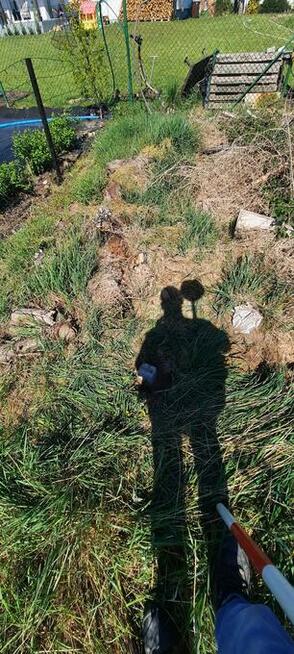 Geodeta, usługi geodezyjne