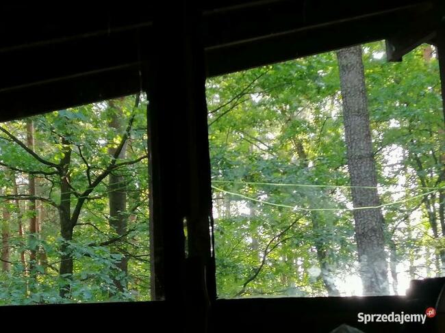 Domek Poziomka nad jezioremSasek Wielki nocleg mazury pokój