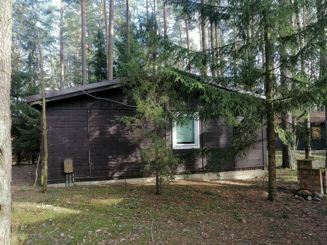 Domek Malinka nad jeziorem Sasek Wielki nocleg mazury