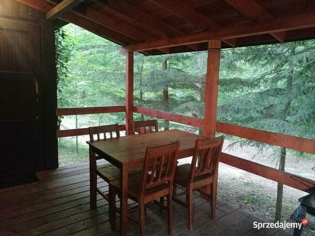 Domek Jagoda Mazury nad jeziorem Sasek Wielki nocleg pokój