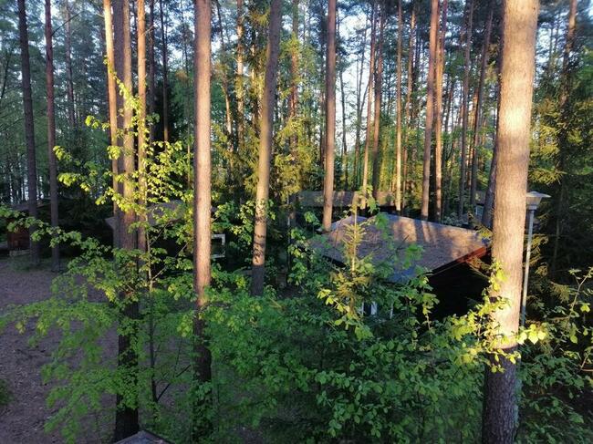 Domek Malinka nad jeziorem Sasek Wielki nocleg mazury