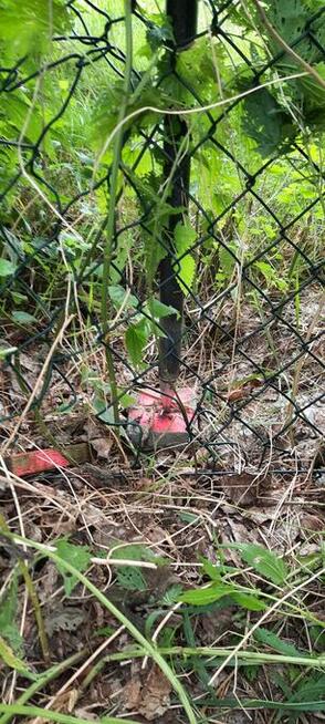 Geodeta, usługi geodezyjne