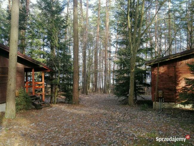 Domek Poziomka nad jezioremSasek Wielki nocleg mazury pokój