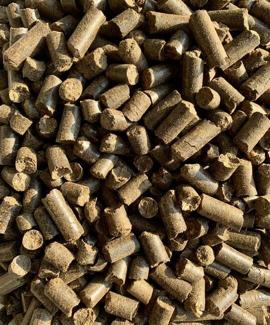 Archiwalne pellet s onecznikowy b dzin