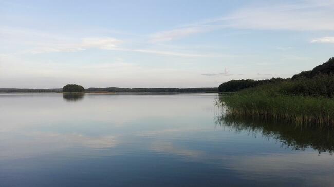Domek Jagoda Mazury nad jeziorem Sasek Wielki nocleg pokój