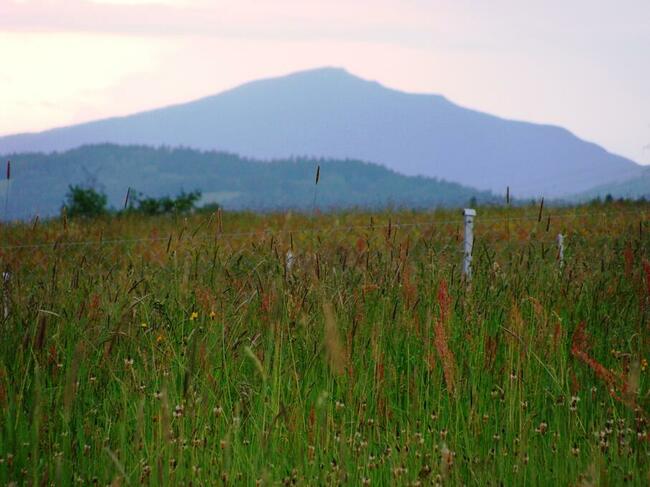 Nocleg w górach / Rabka Zdrój, 38 km-Zakopane, 60 km-Kraków.