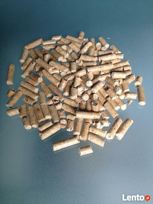 Liściasty pellet drzewny (dąb), dostawa Białystok gratis