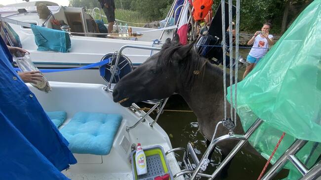 Czarter, Rejsy, Ewenty na pokładzie jachtu. Mazury 2025