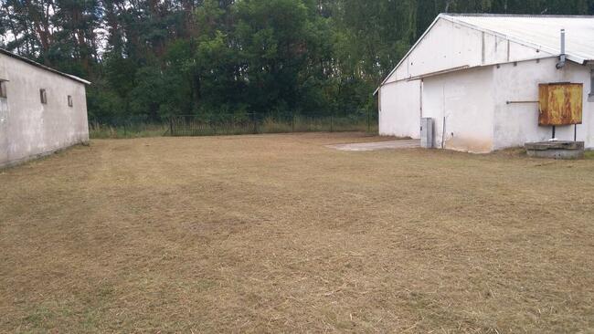 Sprzedam 4 hale +ziemia o łącznej pow. 7 Ha przy S-3