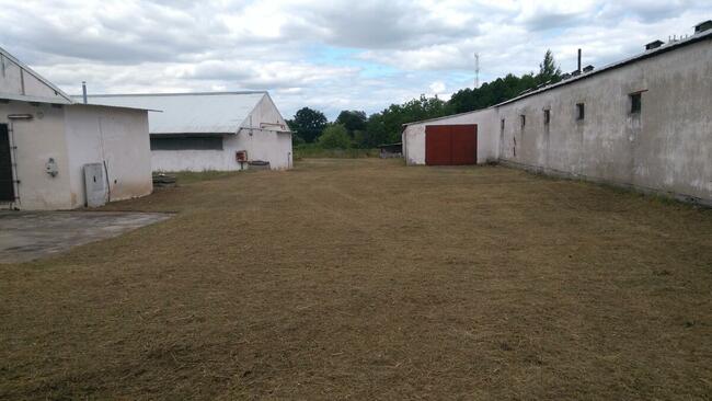 Sprzedam 4 hale +ziemia o łącznej pow. 7 Ha przy S-3