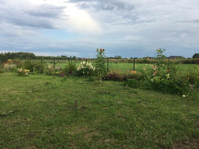 Sprzedam działkę budowlaną Łoziska gm. Lesznowola